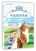 幸運的壞男孩/擺渡船當代世界兒童文學金獎書系