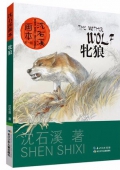 牝狼/沈石溪畫本
