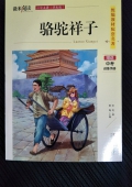 微米閱讀：駱駝祥子