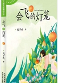 小樹葉兒童文學精品叢書:會飛的燈籠 平裝